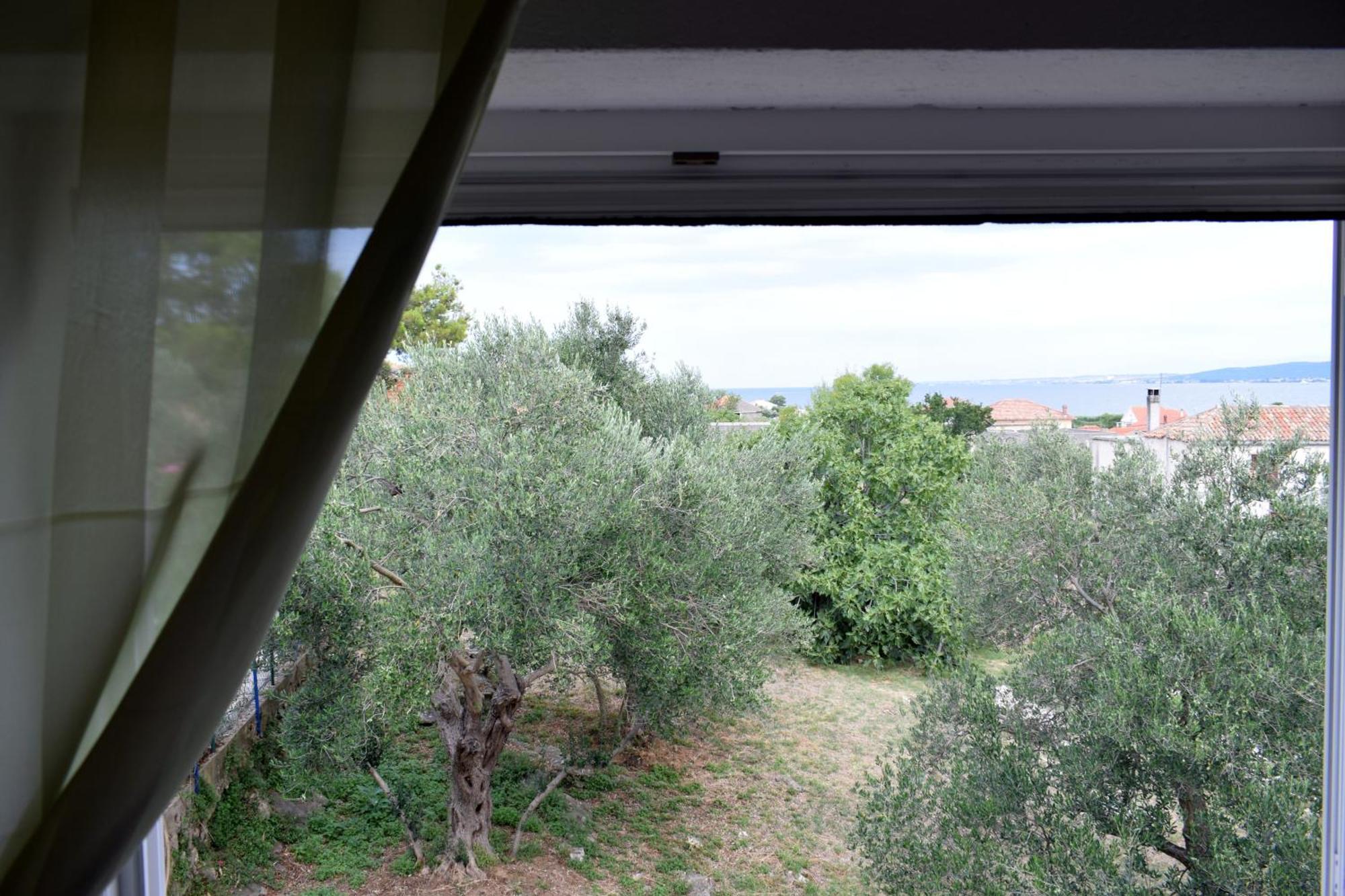 J&D Daire Dobropoljana Dış mekan fotoğraf